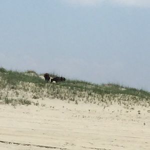 Meet your Posher, Akansha